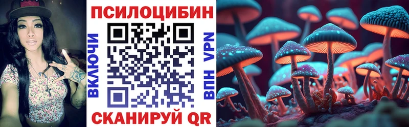 Галлюциногенные грибы Psilocybine cubensis  Вихоревка 